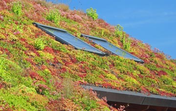 Bucknall living roof systems