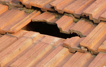 roof repair Bucknall